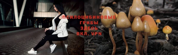 гашик Абдулино