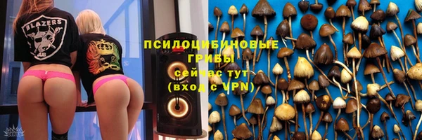 ешки Покачи