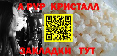 индика Камышлов