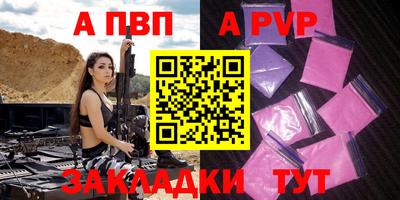 индика Камышлов