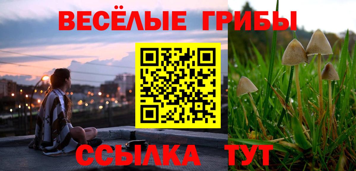 Галлюциногенные грибы прущие грибы Знаменск