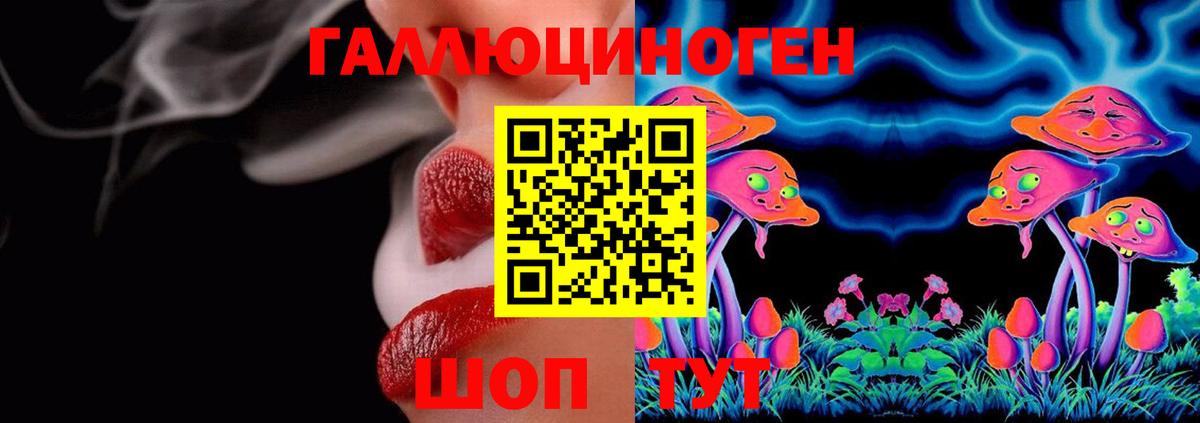 Псилоцибиновые грибы GOLDEN TEACHER  Вход с VPN  Знаменск  наркота  Галлюциногенные грибы Cubensis 